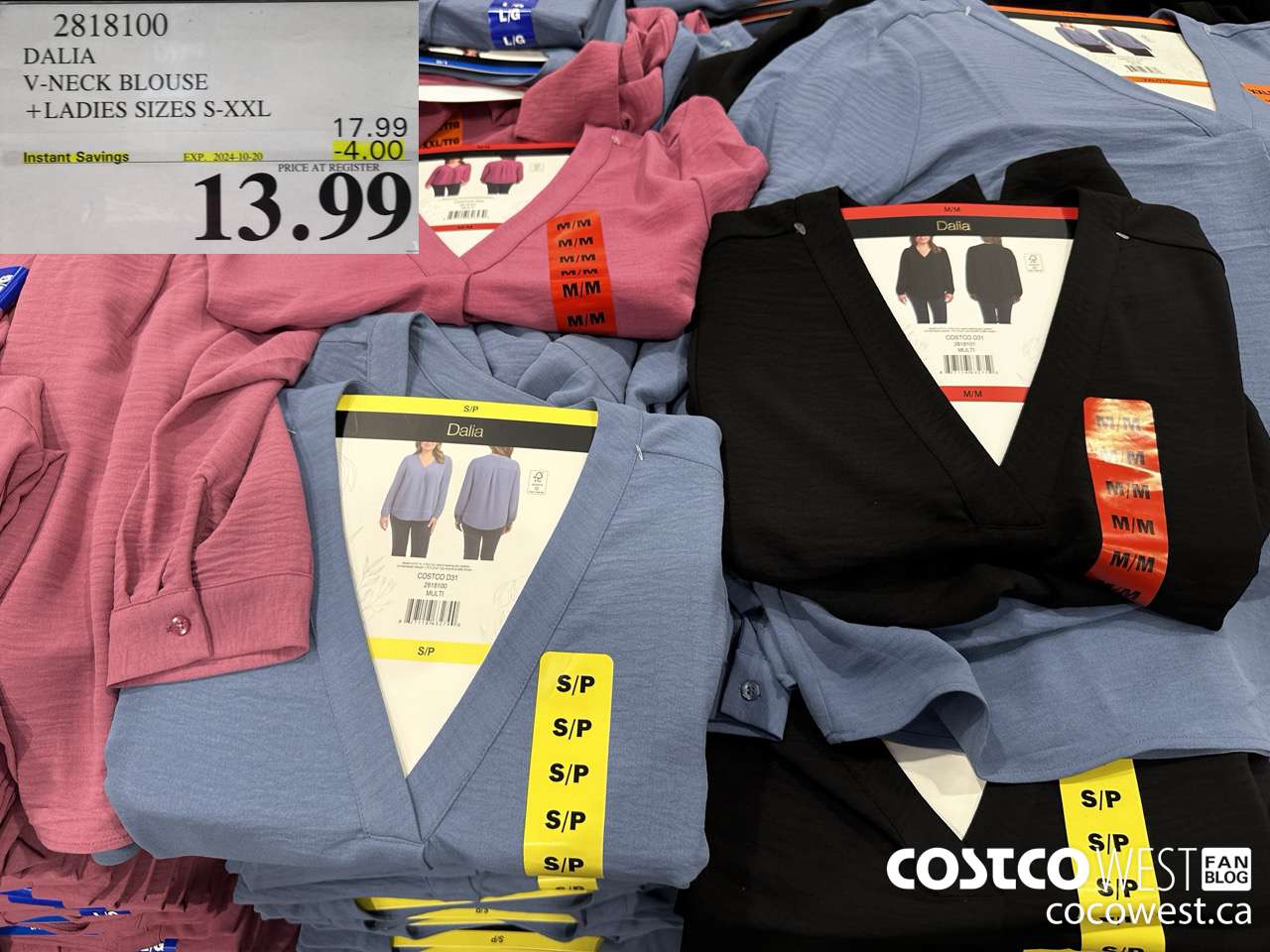 2818100 DALIA V-NECK BLOUSE LADIES SIZES S-XXL ($4.00 INSTANT SAVINGS EXPIRES ON 2024-10-20) $13.99