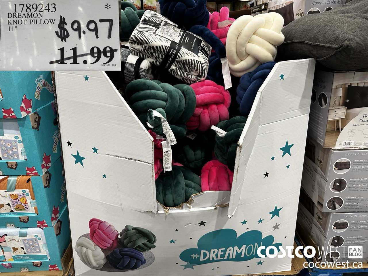1789243 DREAMON KNOT PILLOW 11