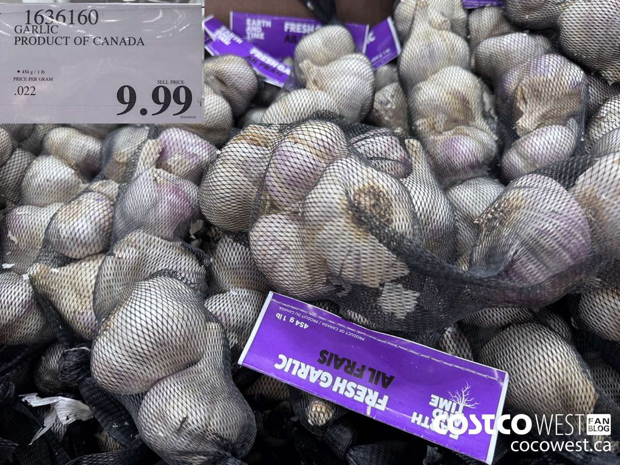 1636160 GARLIC PRODUCT OF CANADA $9.99