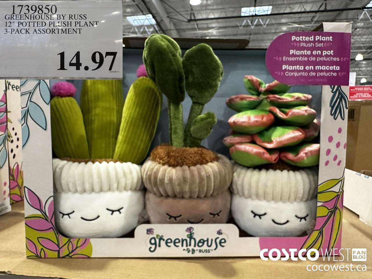 1739850 GREENHOUSE BY RUSS 12