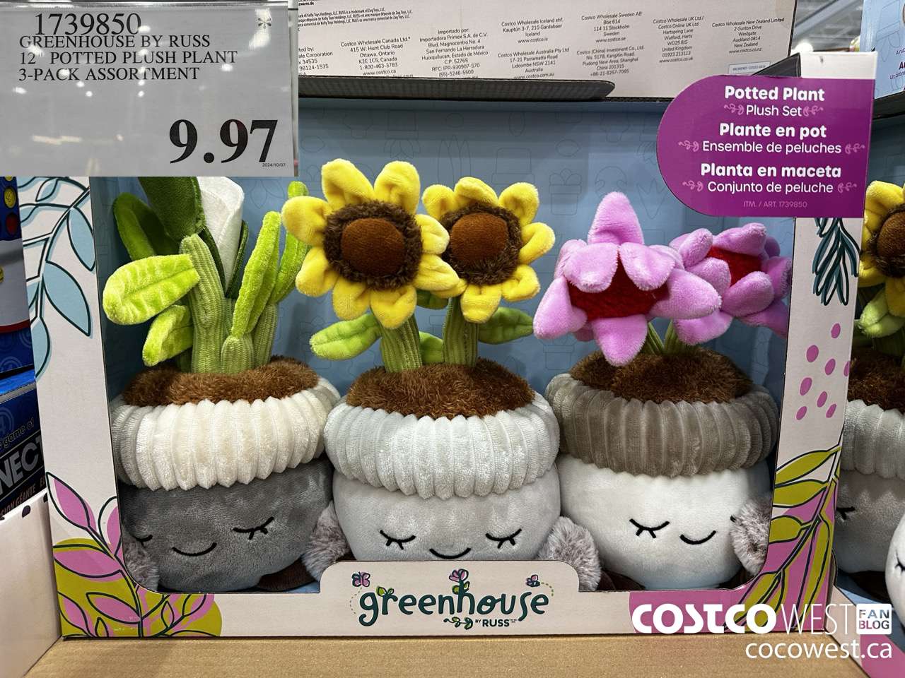 1739850 GREENHOUSE BY RUSS 12