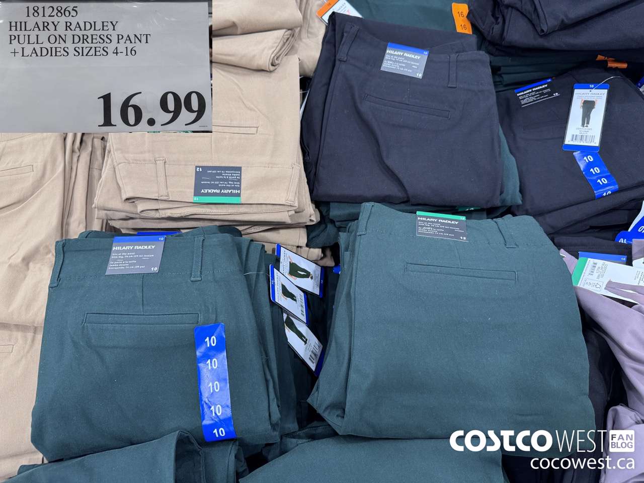 1812865 HILARY RADLEY PULL ON DRESS PANT LADIES SIZES 4-16 $16.99