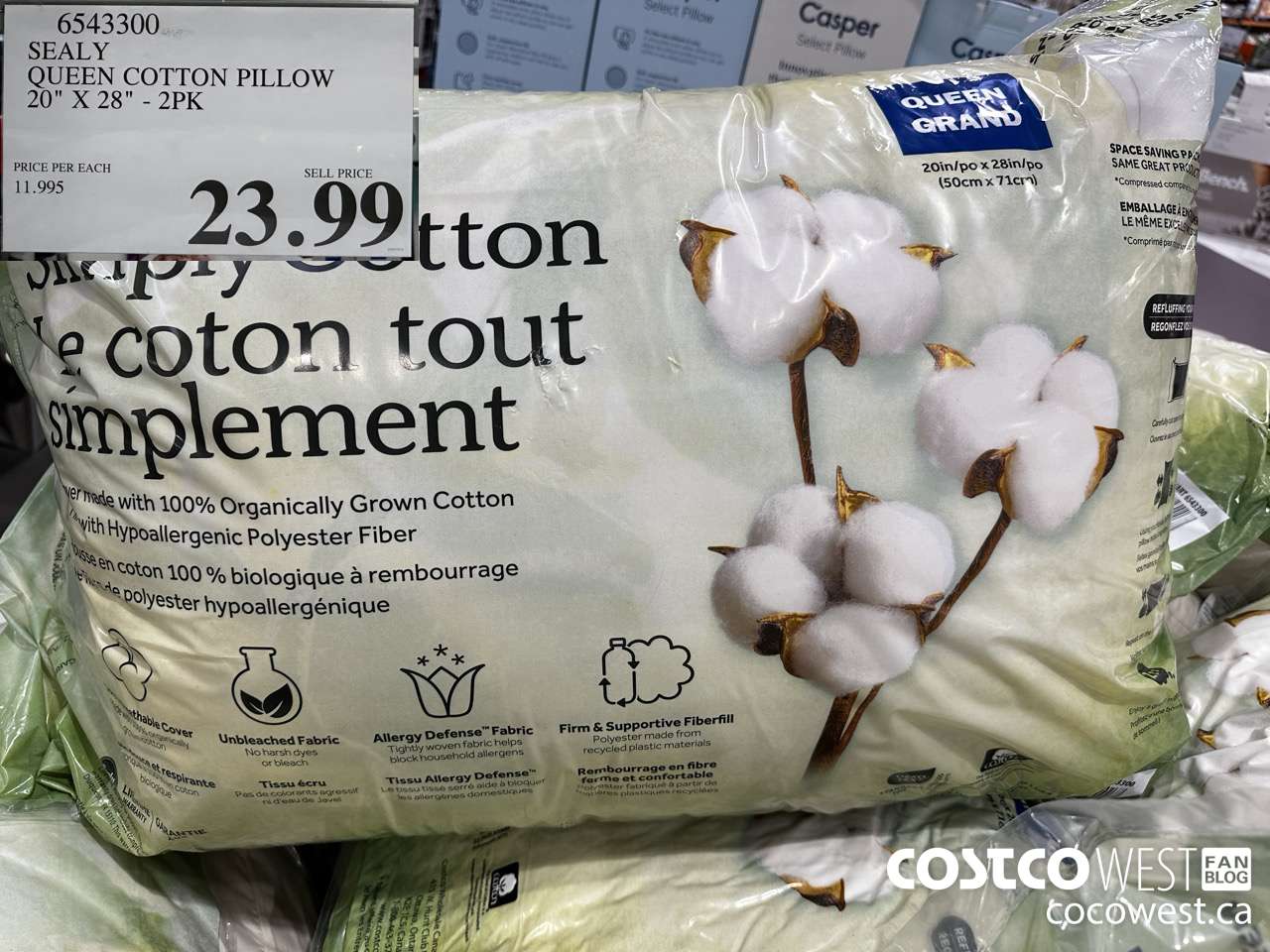 6543300 SEALY QUEEN COTTON PILLOW 20