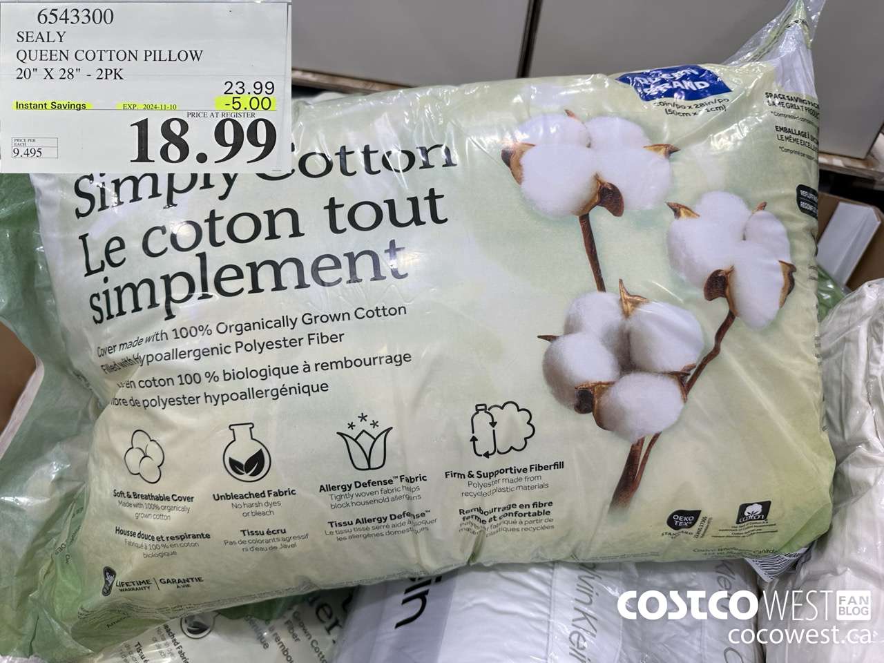 6543300 SEALY QUEEN COTTON PILLOW 20