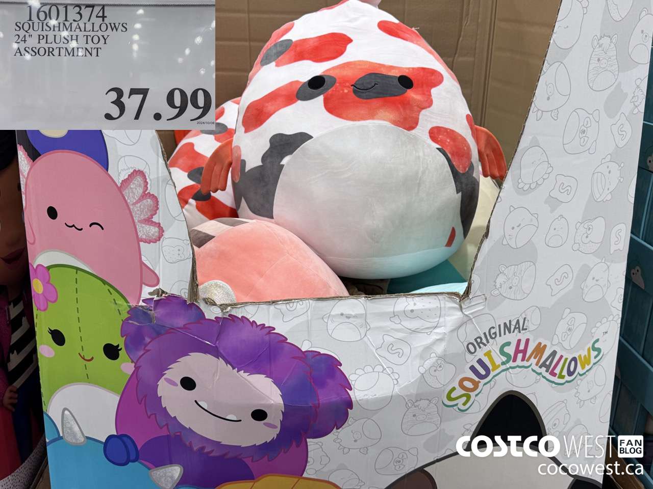 1601374 SQUISHMALLOWS 24