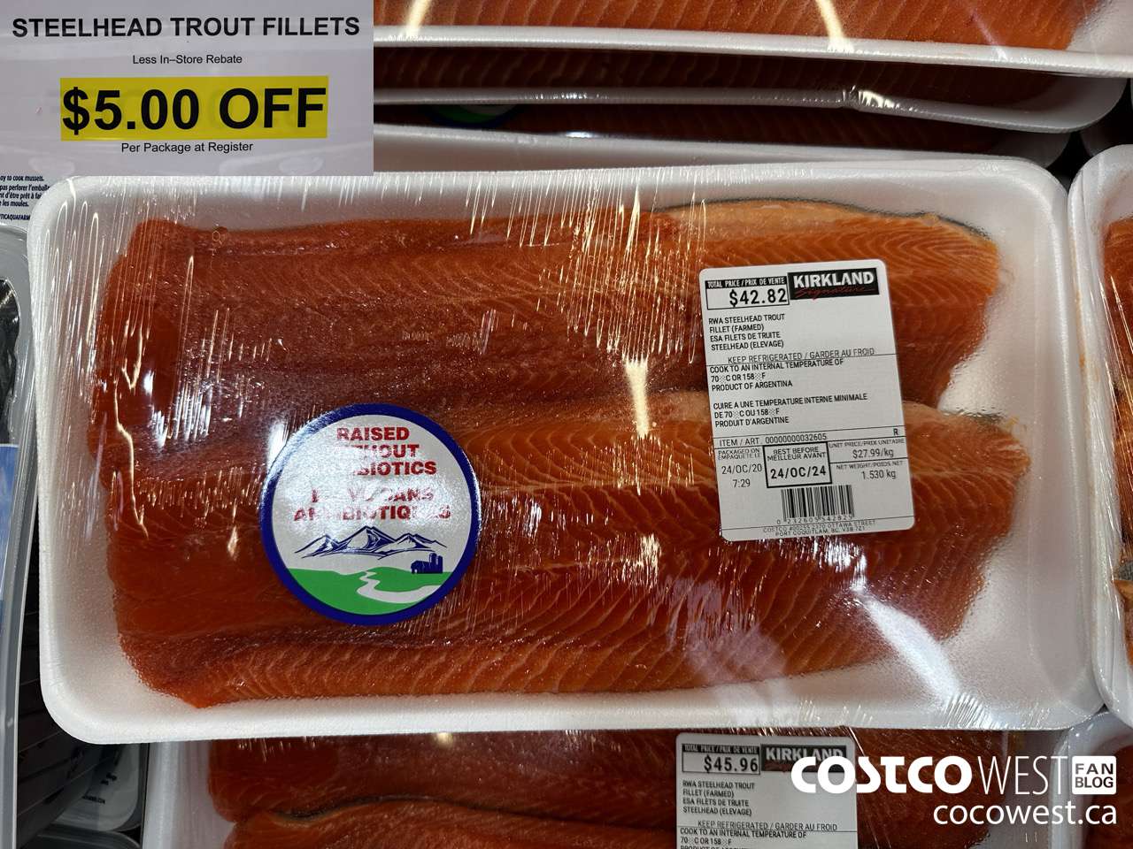 32605 STEELHEAD TROUT FILLETS ($5.00 INSTANT SAVINGS)