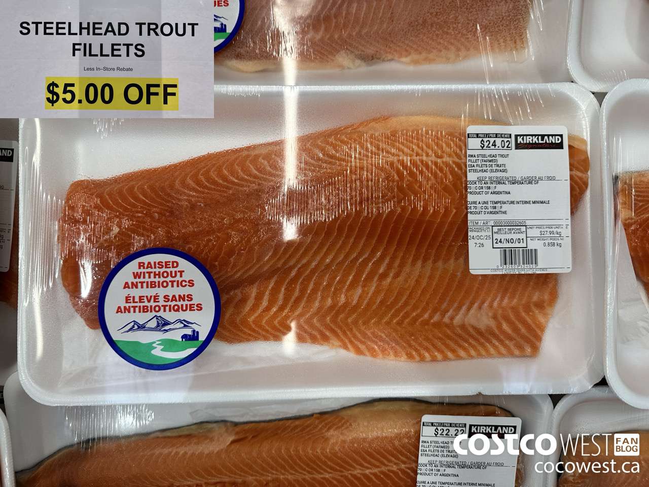 32605 STEELHEAD TROUT FILLETS ($5.00 INSTANT SAVINGS)
