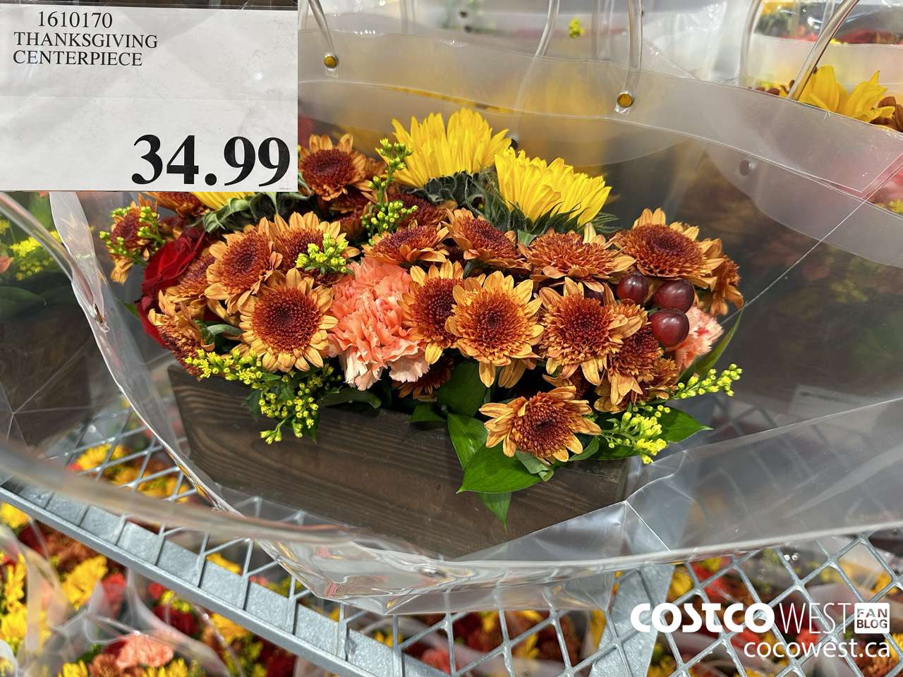 1610170 THANKSGIVING CENTERPIECE  $34.99