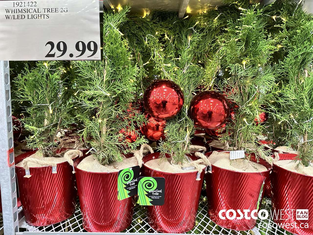 1921422 WHIMISCAL TREE 2G W/LED LIGHTS $29.99