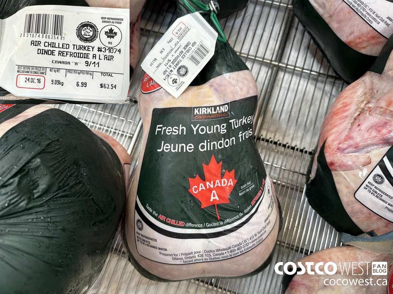 31074 WHOLE TURKEY GRADE A AIR CHILLED 9-11 KG $6.99