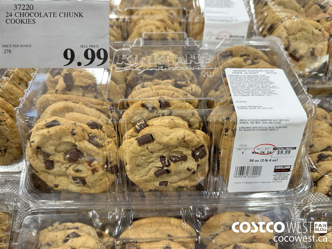 37220 24 CHOCOLATE CHUNK COOKIES $9.99