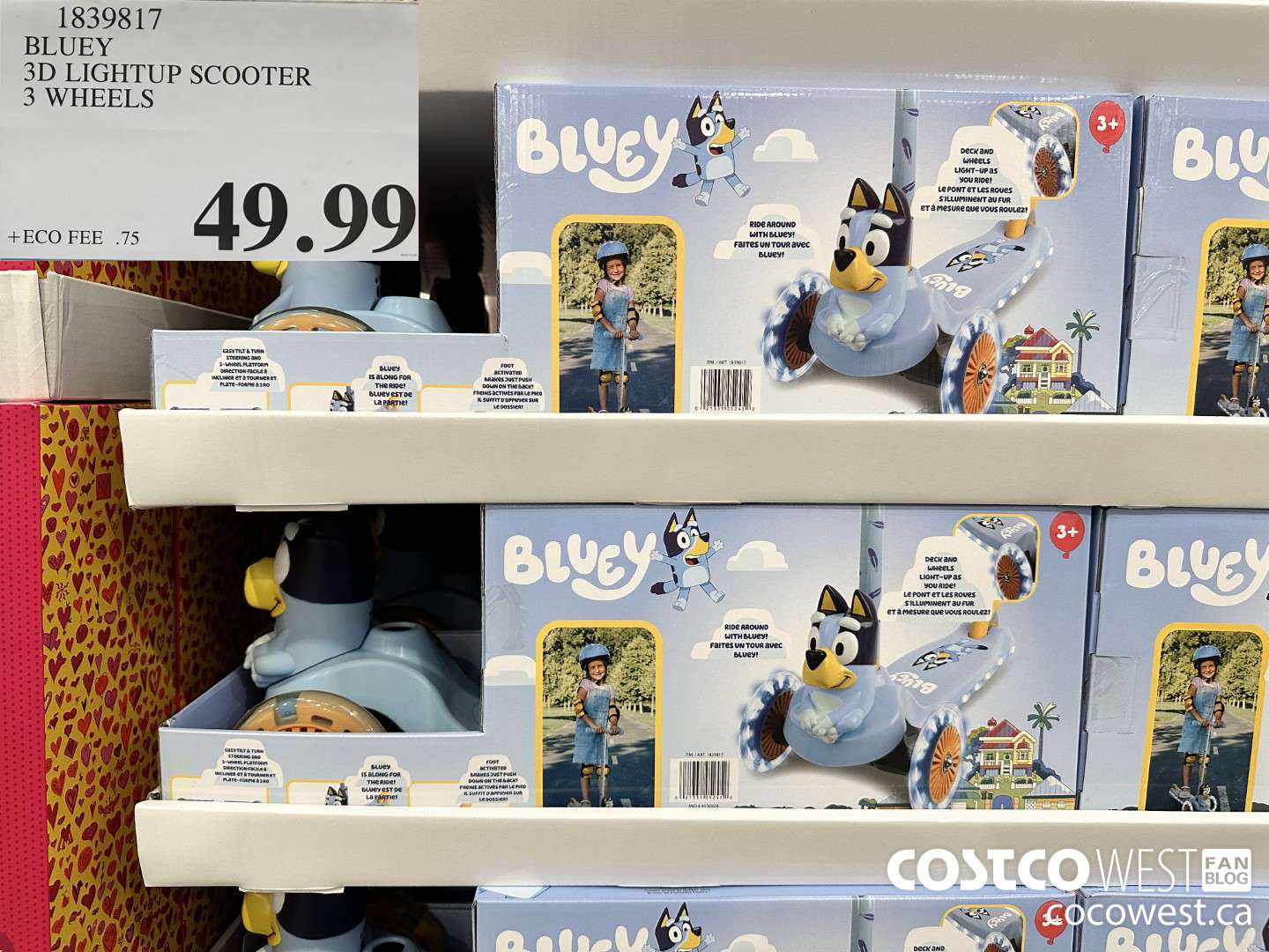 1839817 BLUEY 3D LIGHTUP SCOOTER 3 WHEELS $49.99