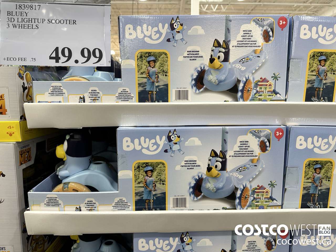1839817 BLUEY 3D LIGHTUP SCOOTER 3 WHEELS $49.99