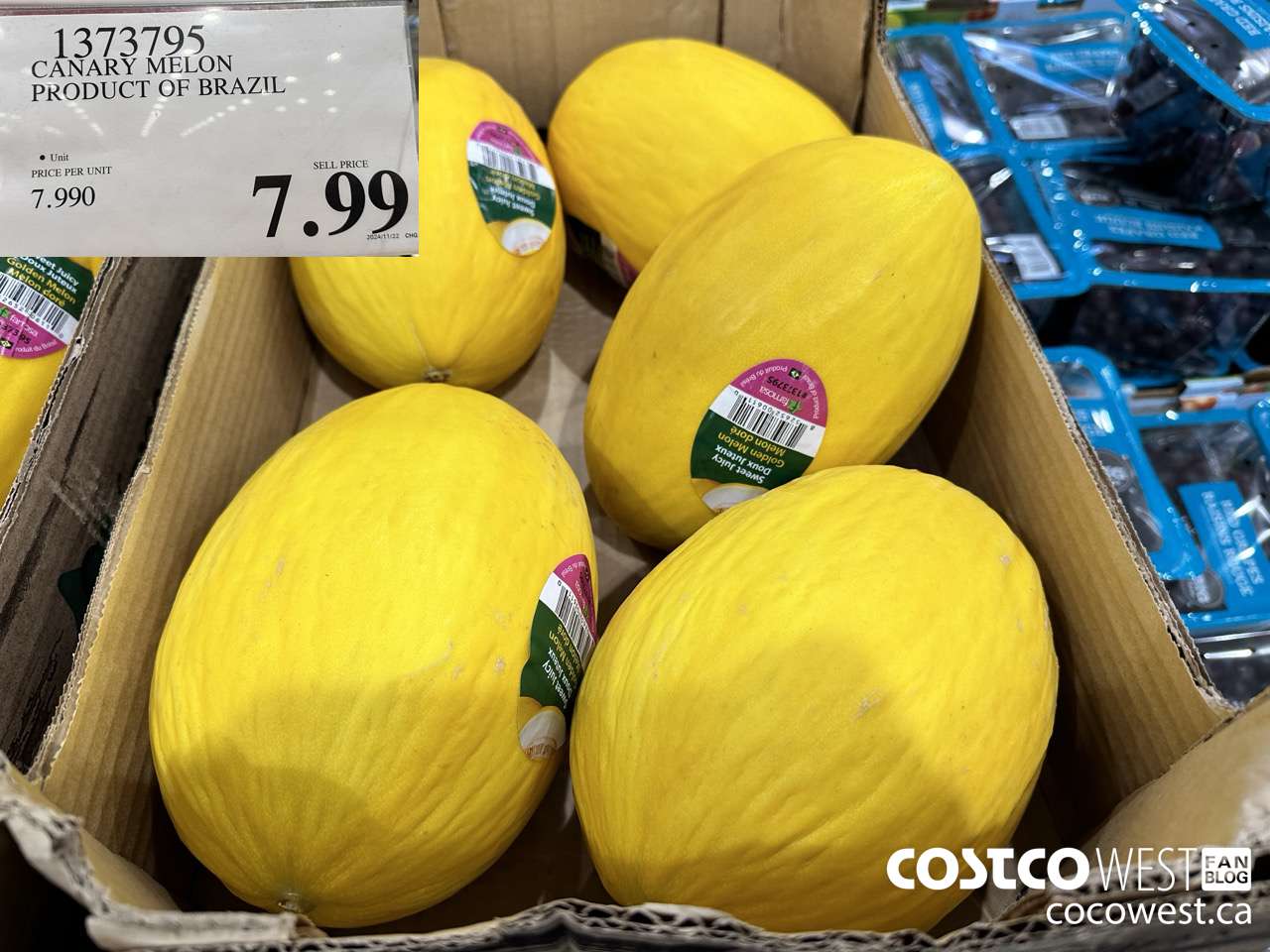 1373795 CANARY MELON PRODUCT OF BRAZIL $7.99