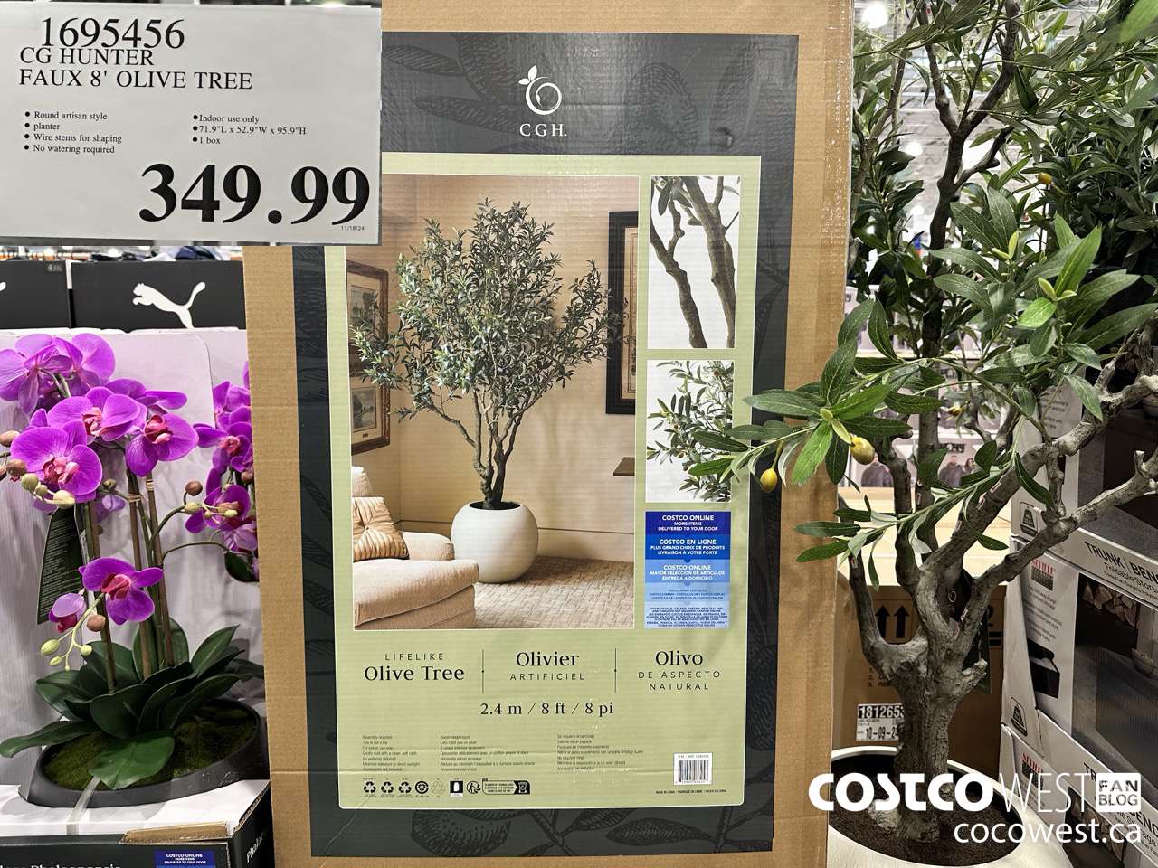 1695456 CG HUNTER FAUX 8' OLIVE TREE $349.99