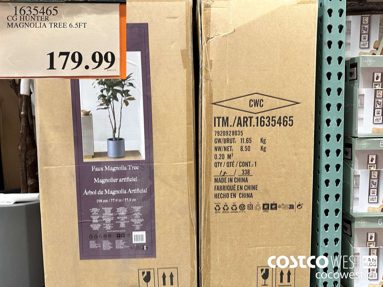1635465 CG HUNTER MAGNOLIA TREE 6.5FT $179.99