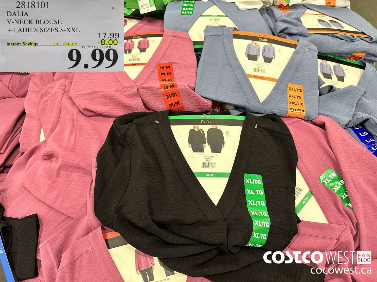 2818101 DALIA V-NECK BLOUSE LADIES SIZES S-XXL ($8.00 INSTANT SAVINGS EXPIRES ON 2024-11-24) $9.99