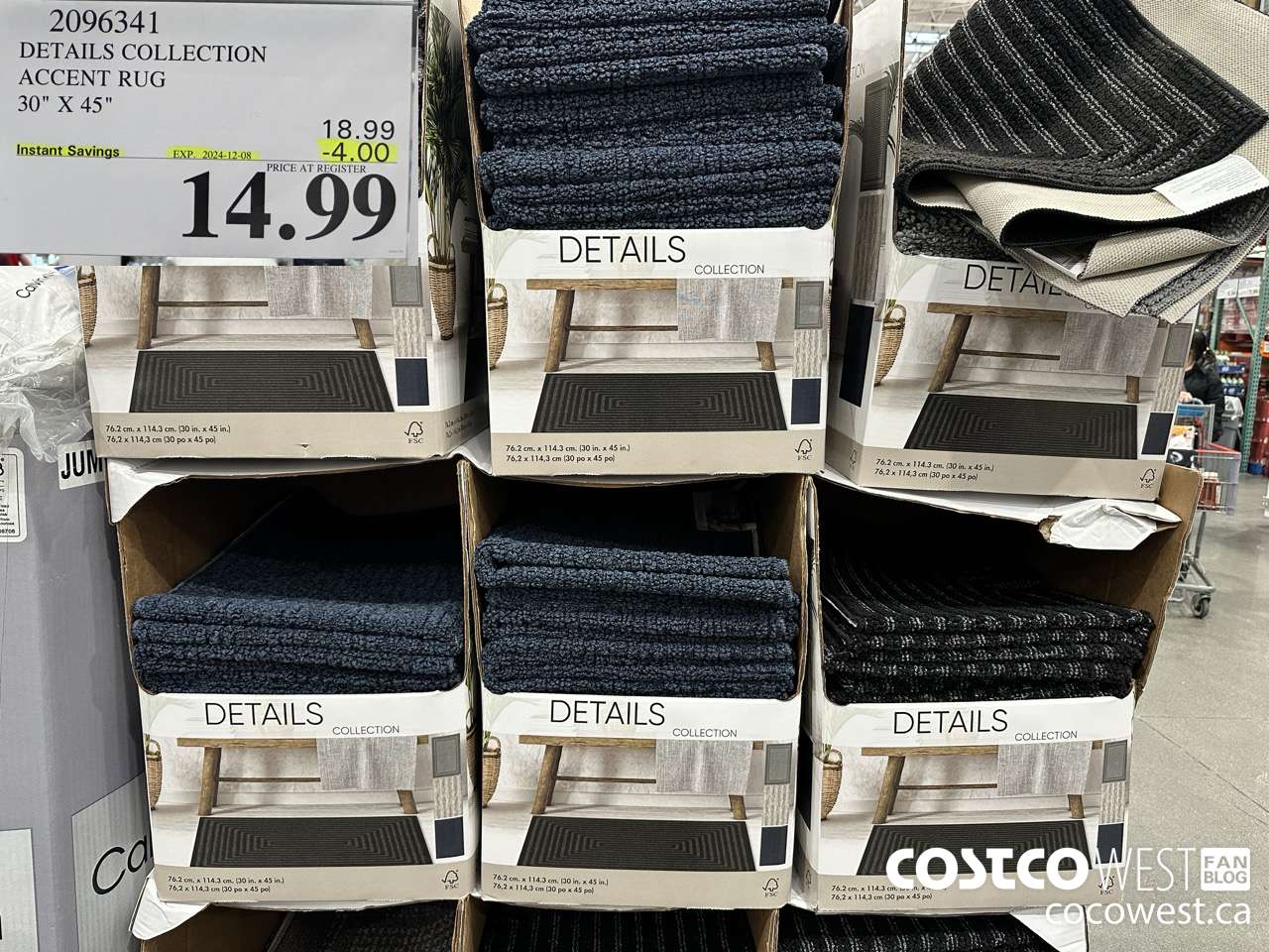 2096341 DETAILS COLLECTION ACCENT RUG 30