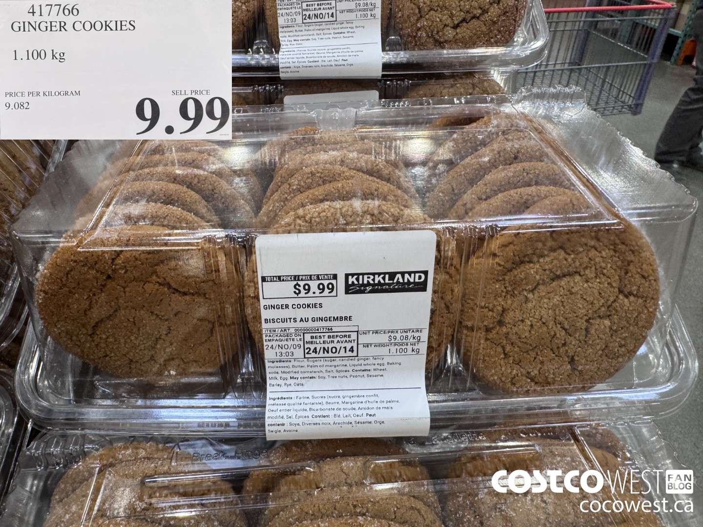 417766 GINGER COOKIES $9.99