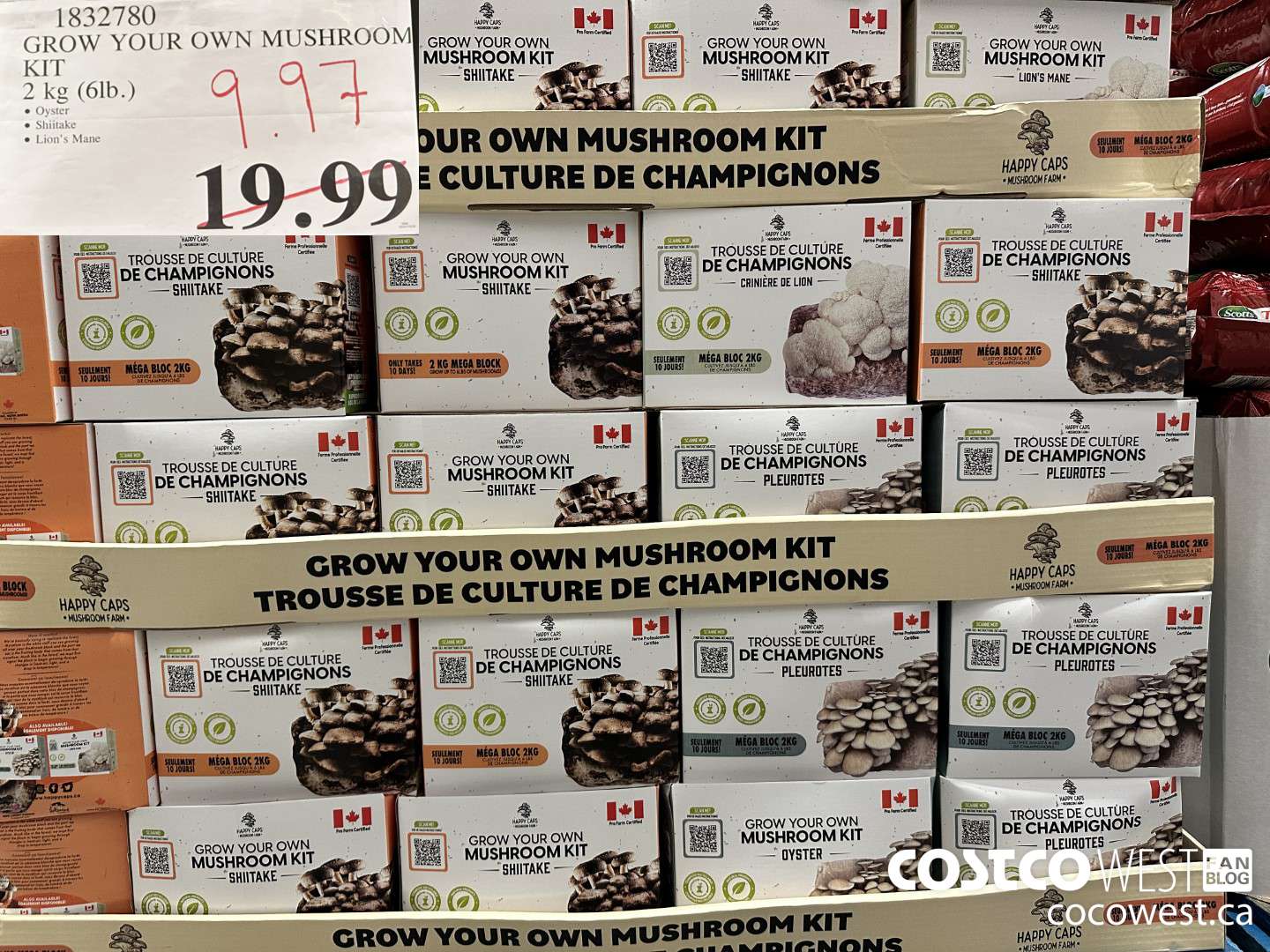 1832780 GROW YOUR OWN MUSHROOM KIT 2 KG (6LB) $9.97