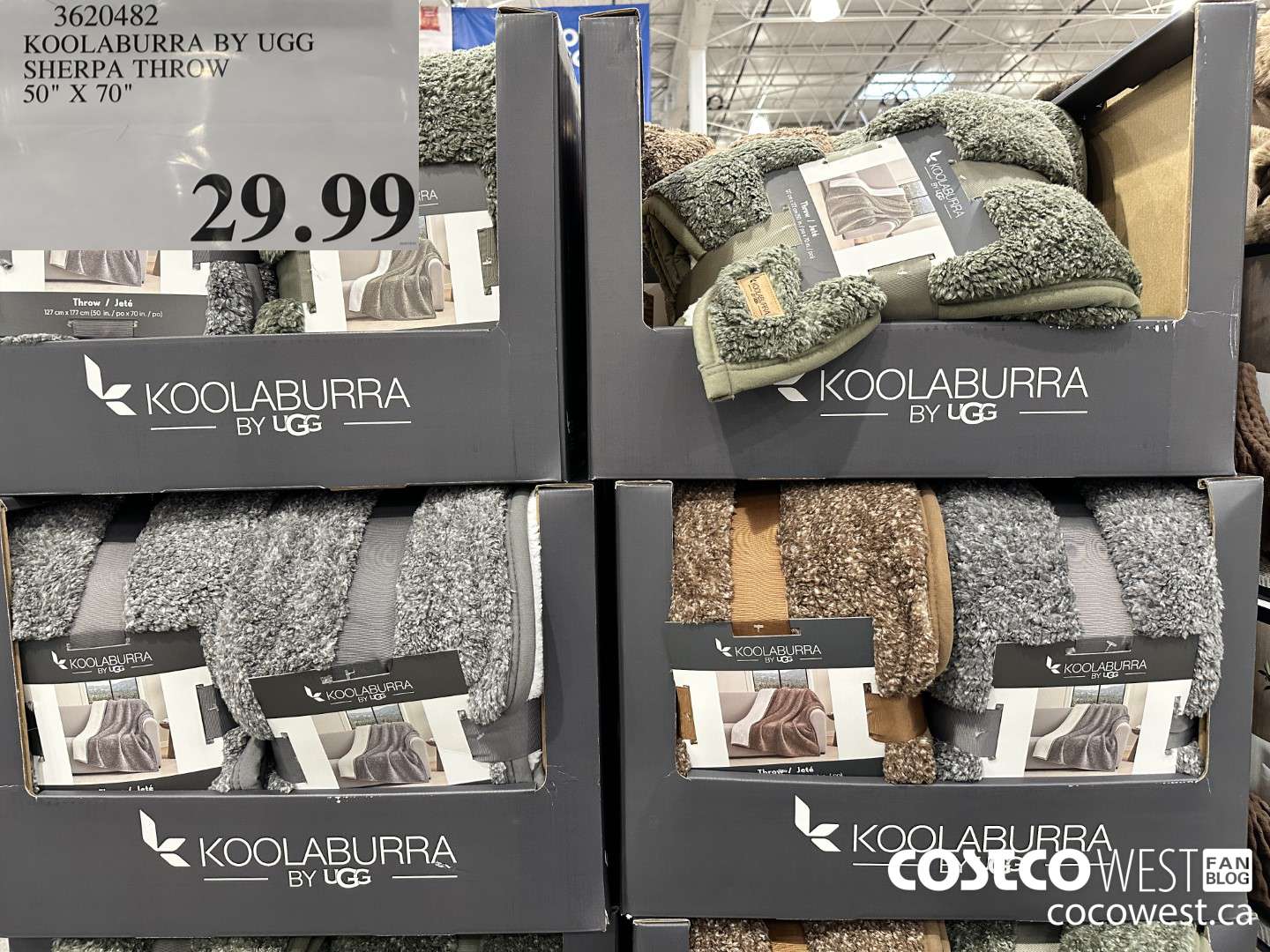 3620482 KOOLABURRA BY UGG SHERPA THROW 50