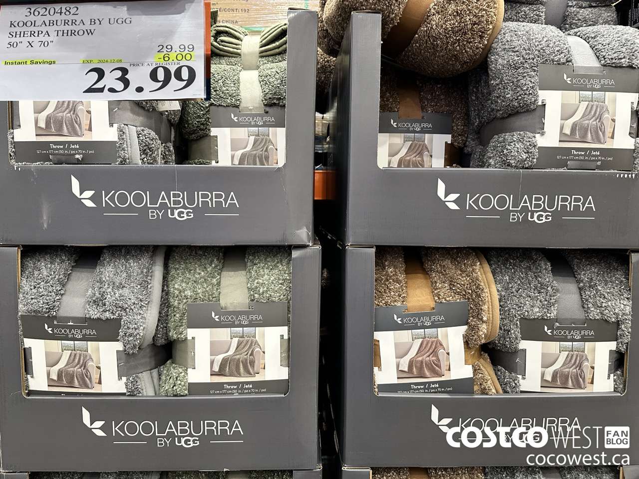 3620482 KOOLABURRA BY UGG SHERPA THROW 50