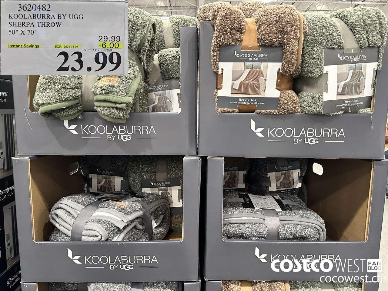 3620482 KOOLABURRA BY UGG SHERPA THROW 50