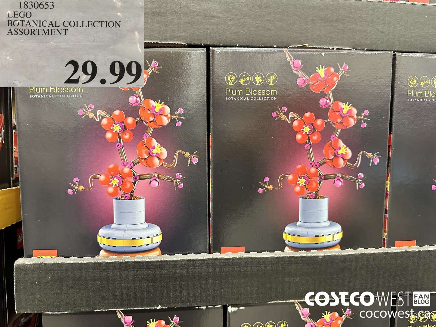 1830653 LEGO BOTANICAL COLLECTION ASSORTMENT $29.99