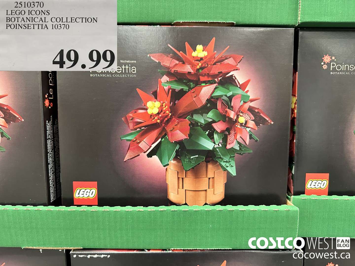 2510370 LEGO ICONS BOTANICAL COLLECTION POINSETTIA $49.99