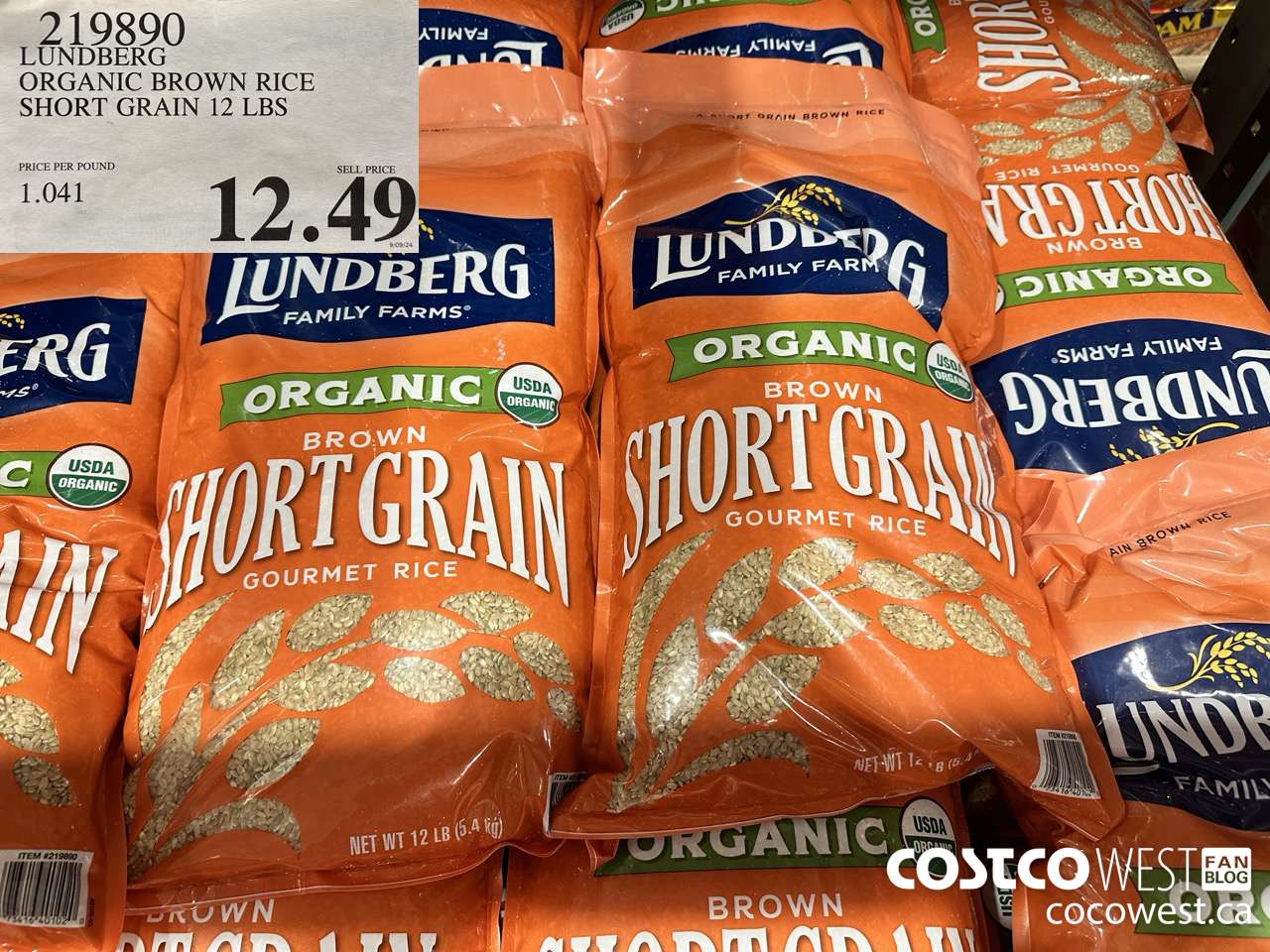 219890 LUNDBERG ORGANIC BROWN RICE SHORT GRAIN 12 LBS $12.49