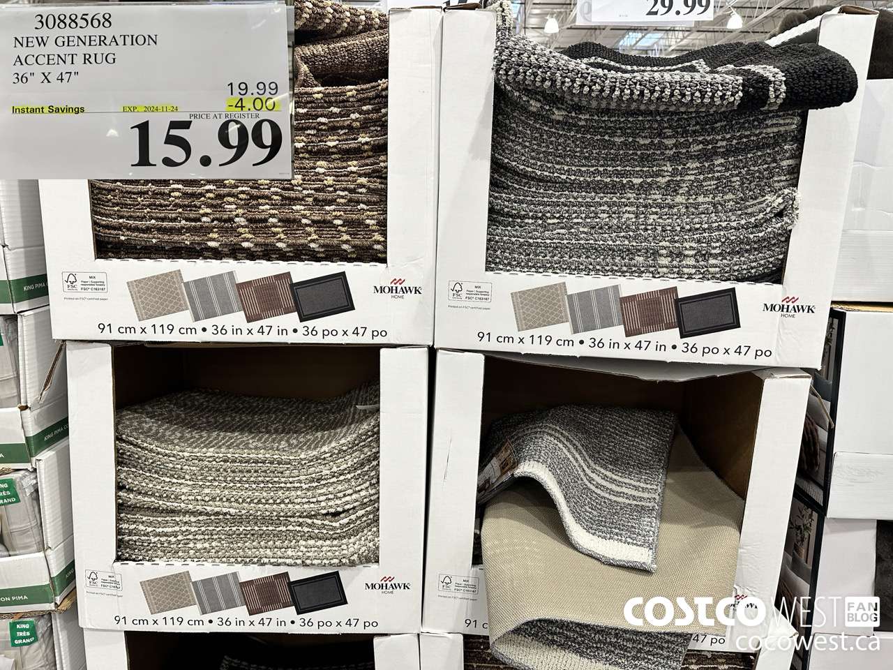 3088568 NEW GENERATION ACCENT RUG 36