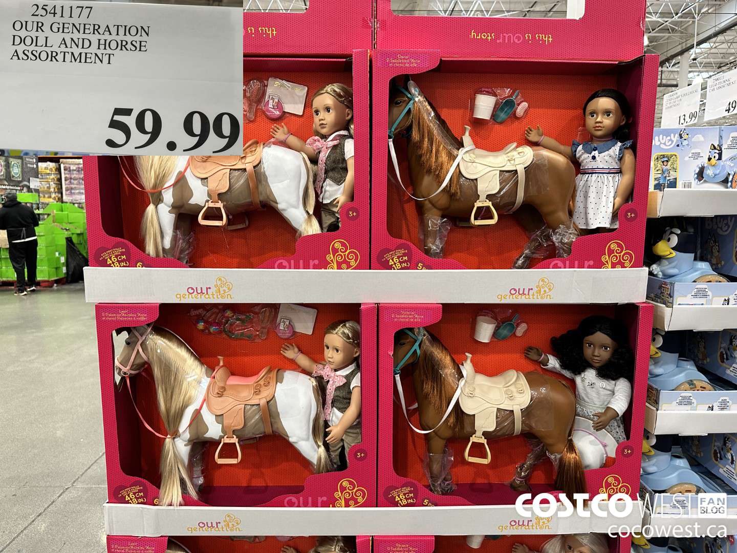 2541177 OUR GENERATION DOLL AND HORSE ASSORTMENT $59.99