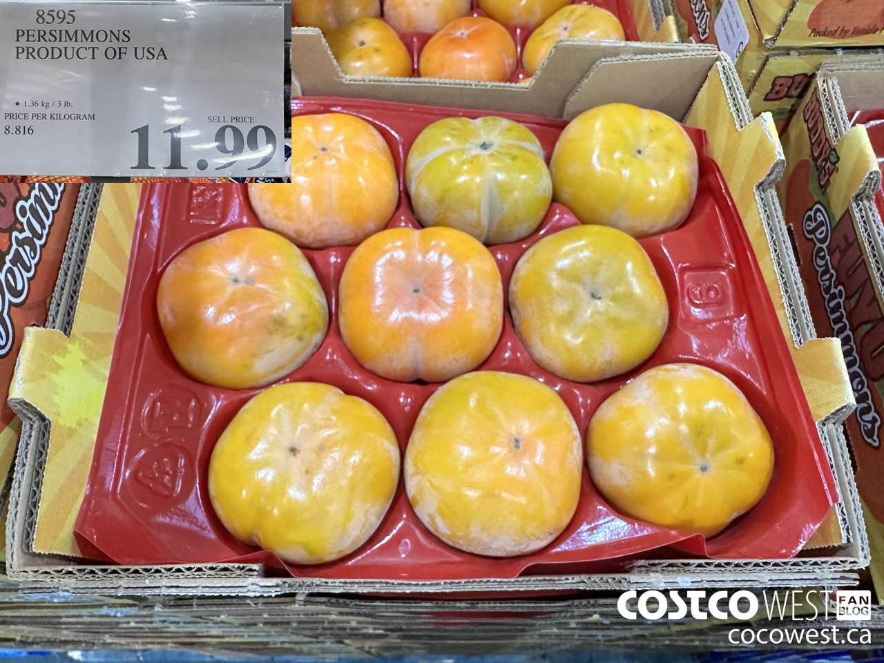8595 PERSIMMONS PRODUCT OF USA $11.99