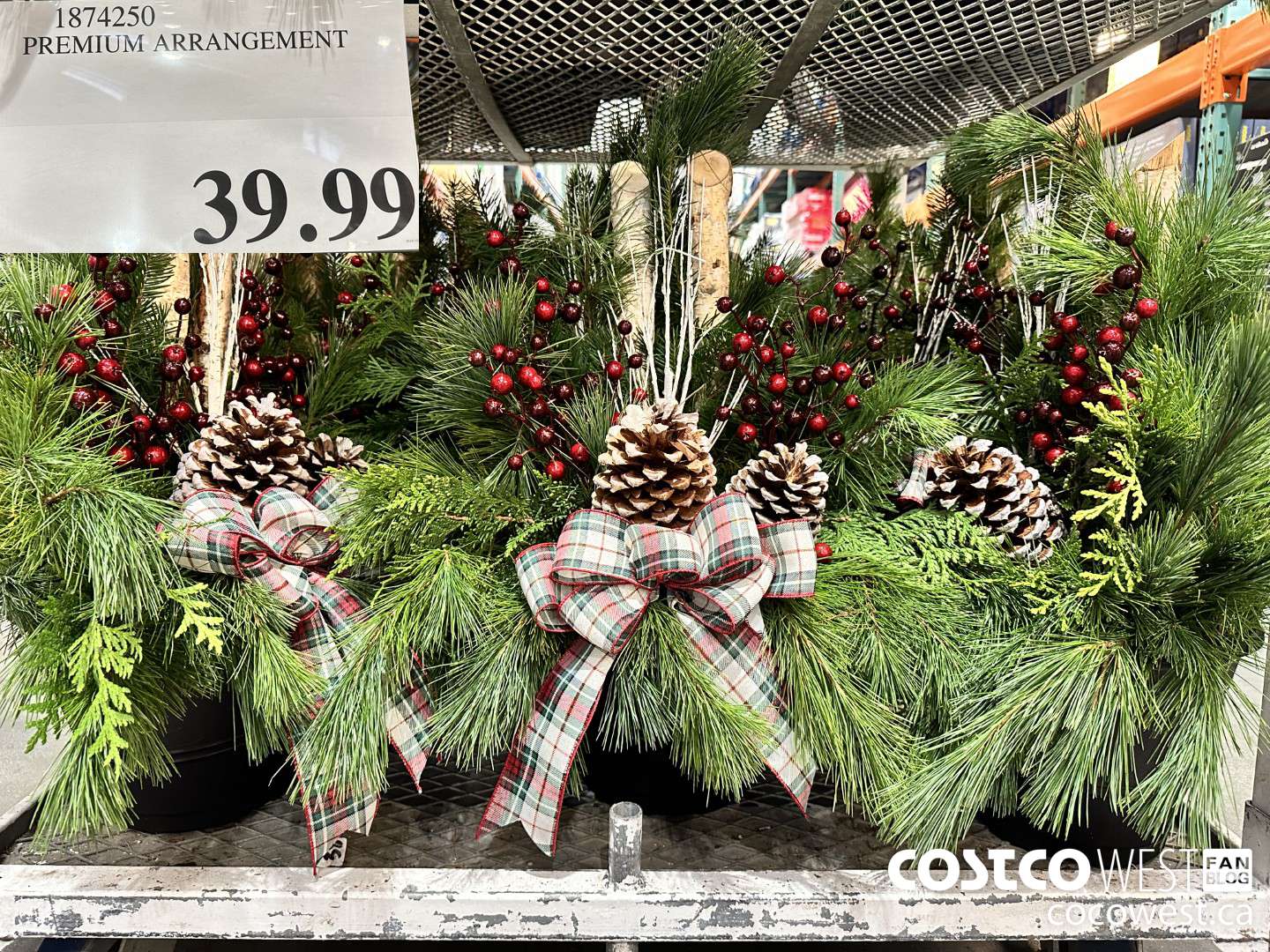 1874250 PREMIUM ARRANGEMENT  $39.99