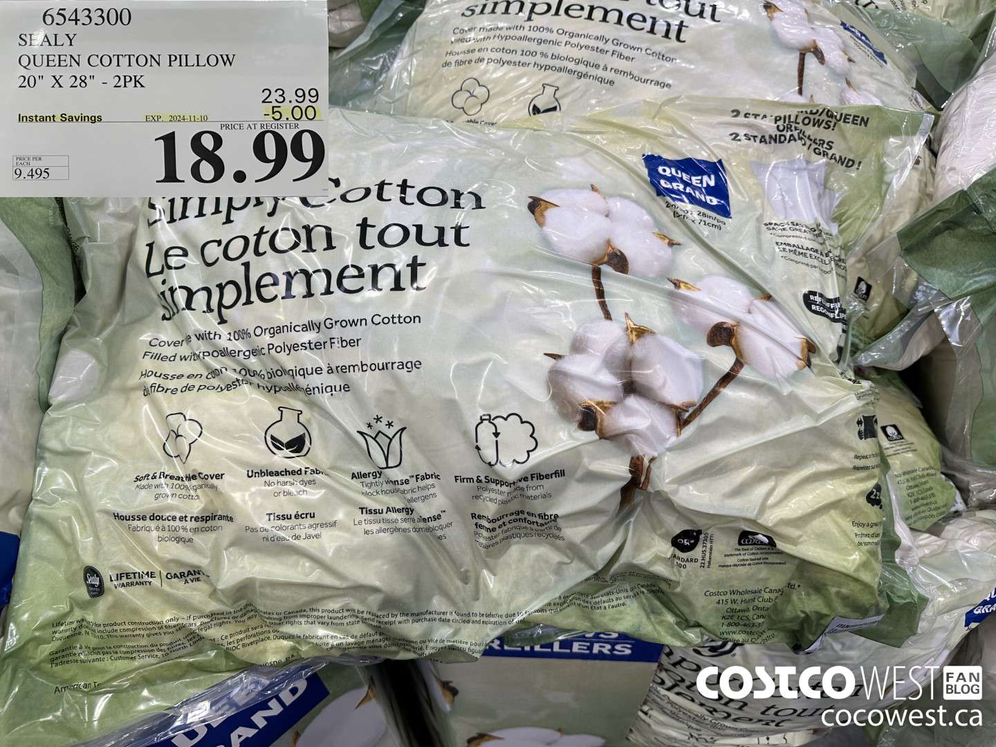 6543300 SEALY QUEEN COTTON PILLOW 20