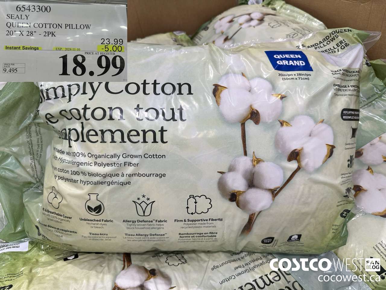 6543300 SEALY QUEEN COTTON PILLOW 20