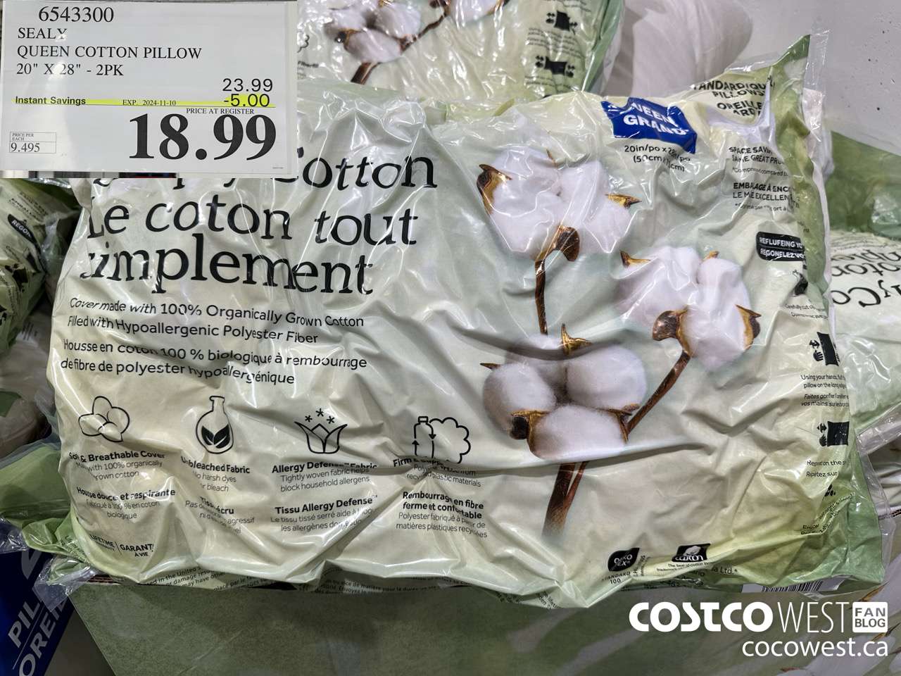 6543300 SEALY QUEEN COTTON PILLOW 20
