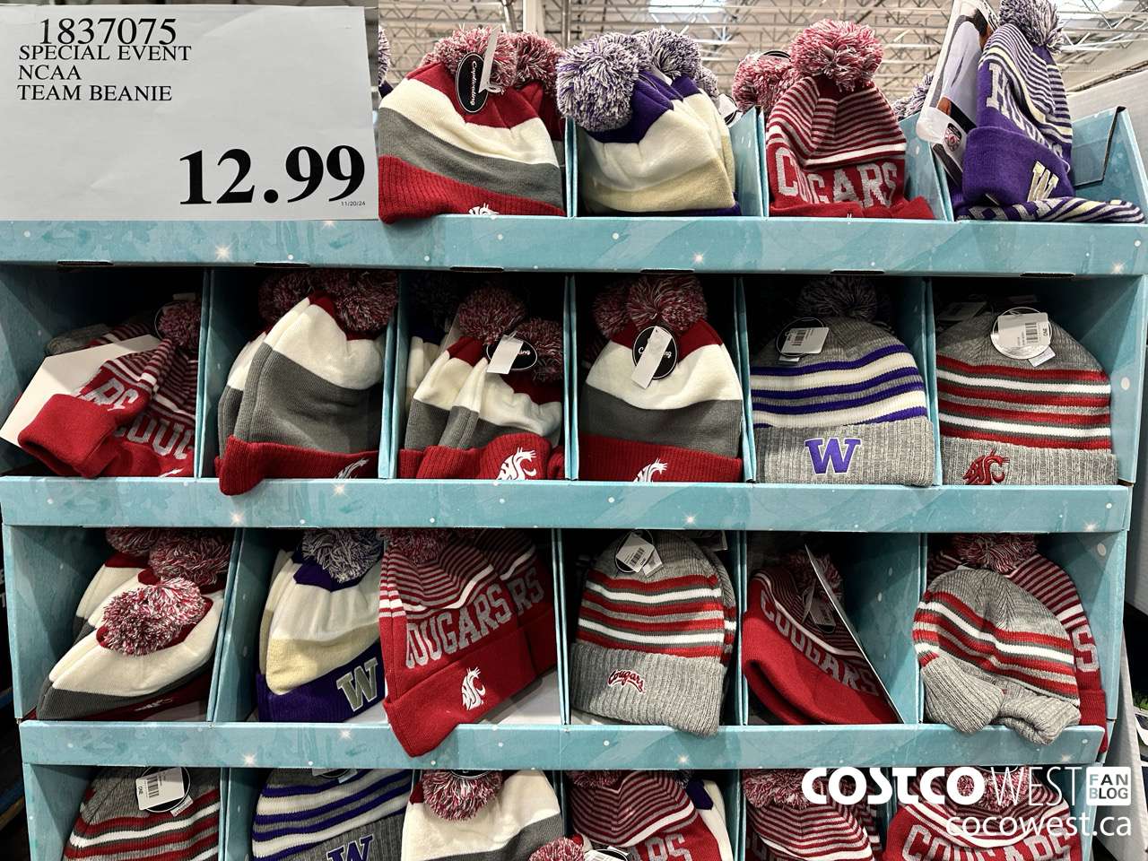 1837075 SPECIAL EVENT NCAA TEAM BEANIE $12.99