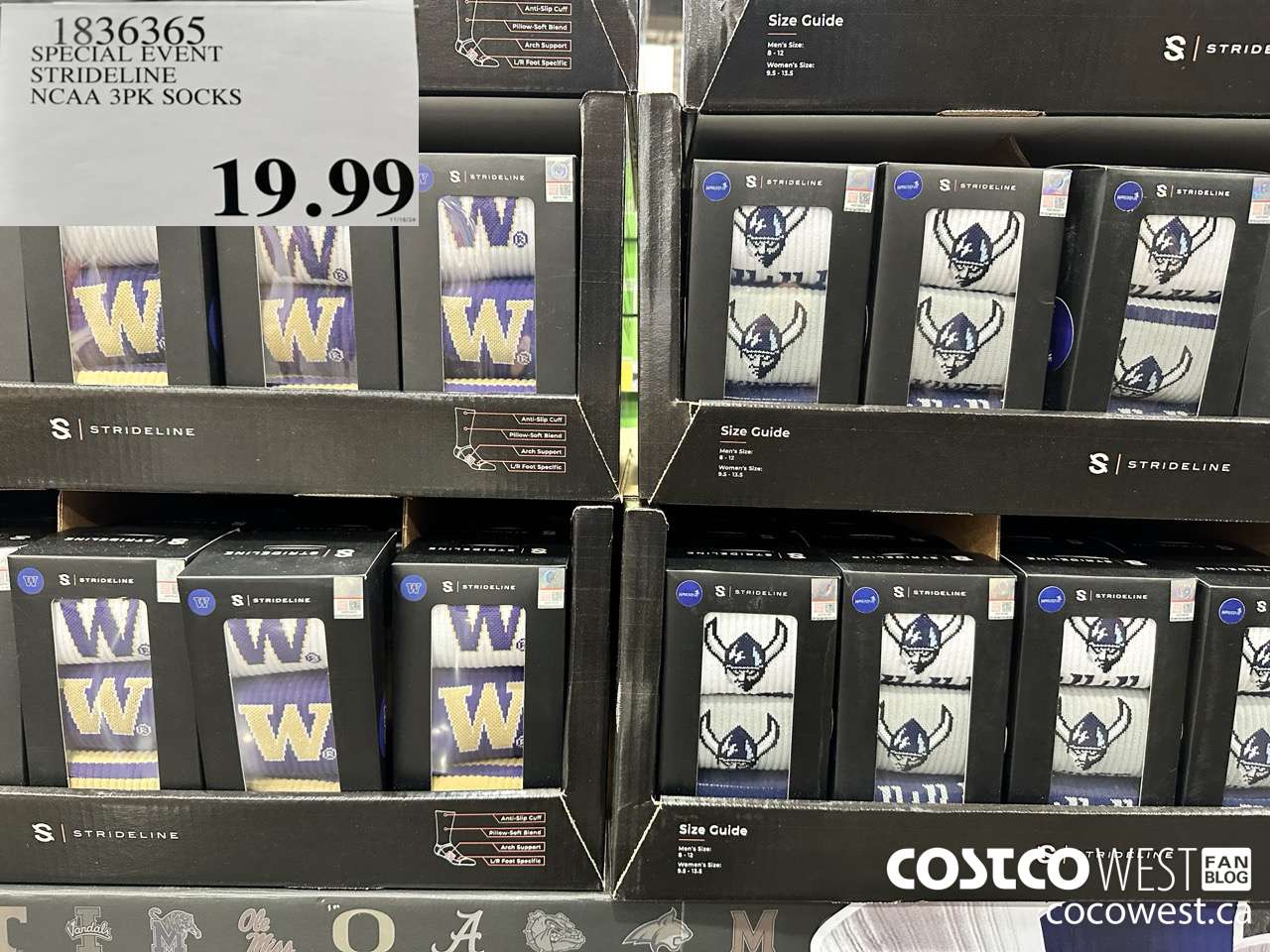 1836365 SPECIAL EVENT STRIDELINE NCAA 3PK SOCKS $19.99