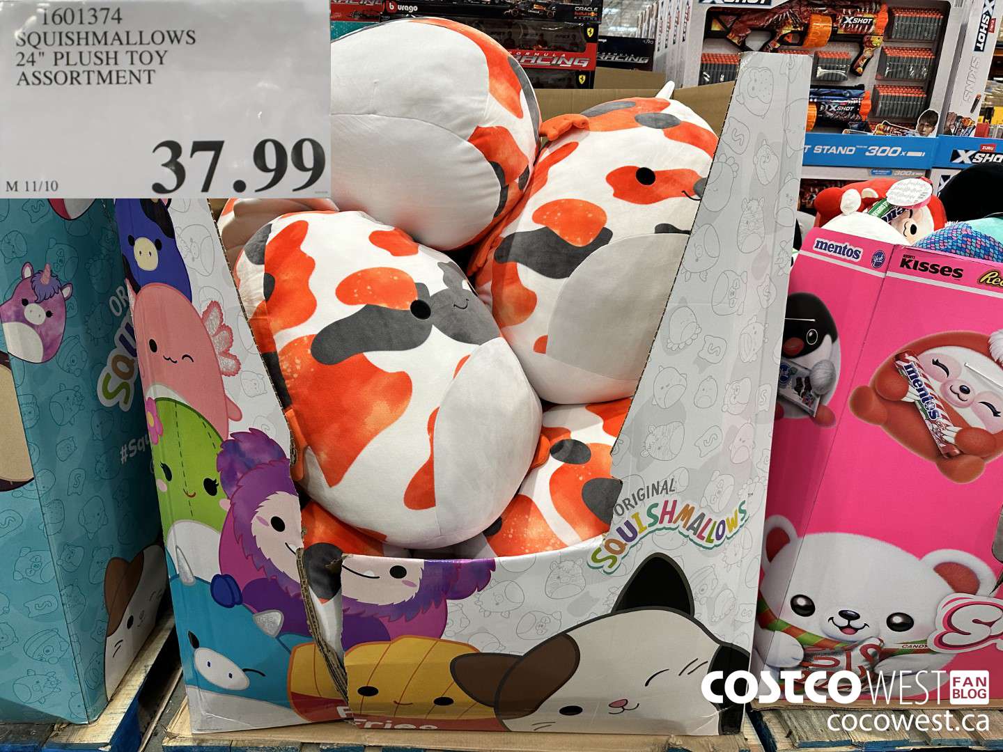 1601374 SQUISHMALLOWS 24