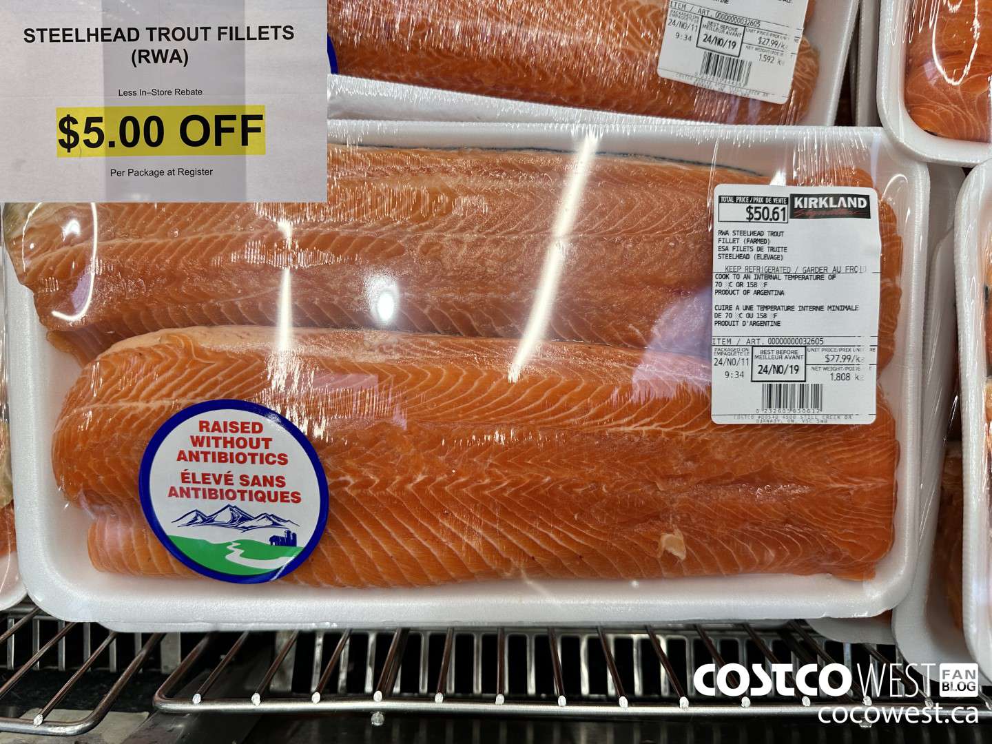 32605 STEELHEAD TROUT FILLETS ($5.00 INSTANT SAVINGS)