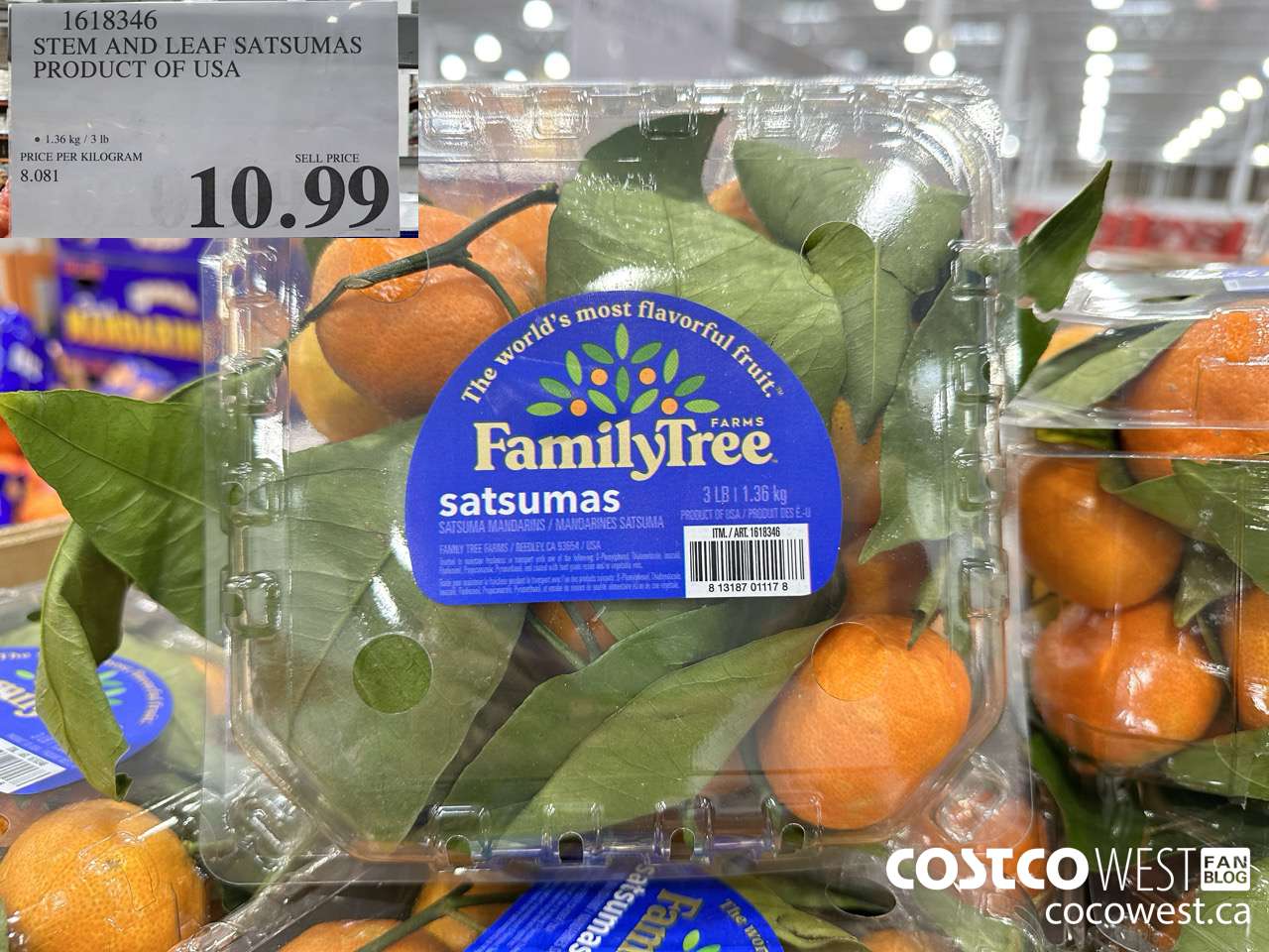 1618346 STEM AND LEAF SATSUMAS PRODUCT OF USA $10.99