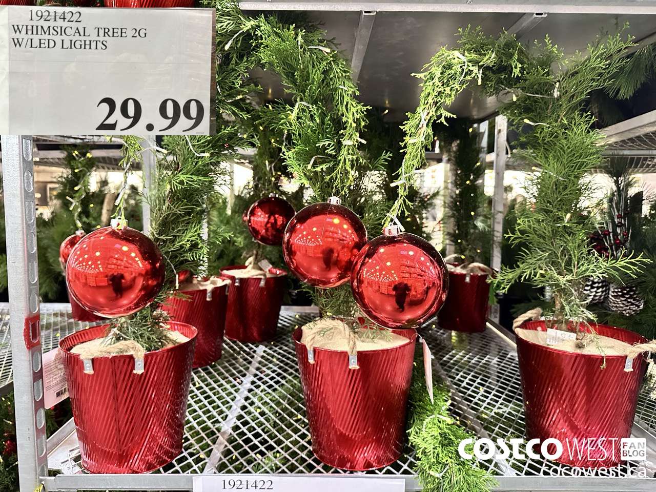 1921422 WHIMISCAL TREE 2G W/LED LIGHTS $29.99