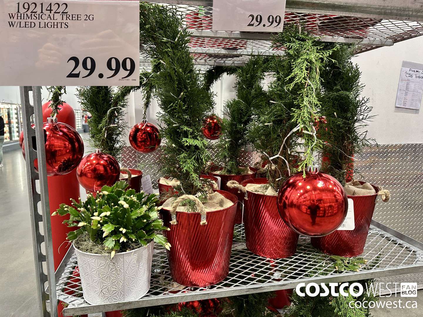 1921422 WHIMISCAL TREE 2G W/LED LIGHTS $29.99