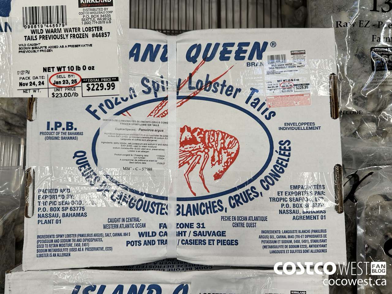 44857 WILD WARM LOBSTER TAILS PREVIOUSLY FROZEN PER LB $23.00