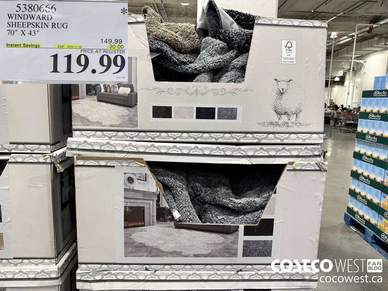 5380666 WINDWARD SHEEPSKIN RUG 70