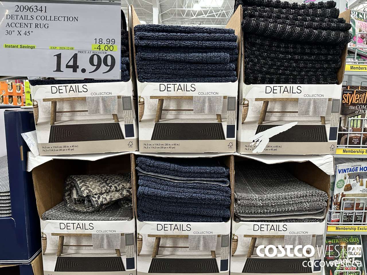 2096341 DETAILS COLLECTION ACCENT RUG 30