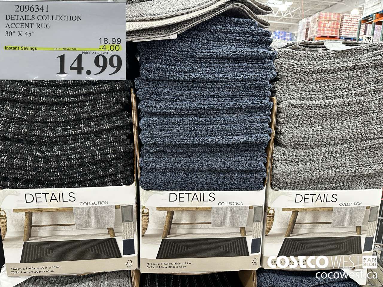 2096341 DETAILS COLLECTION ACCENT RUG 30