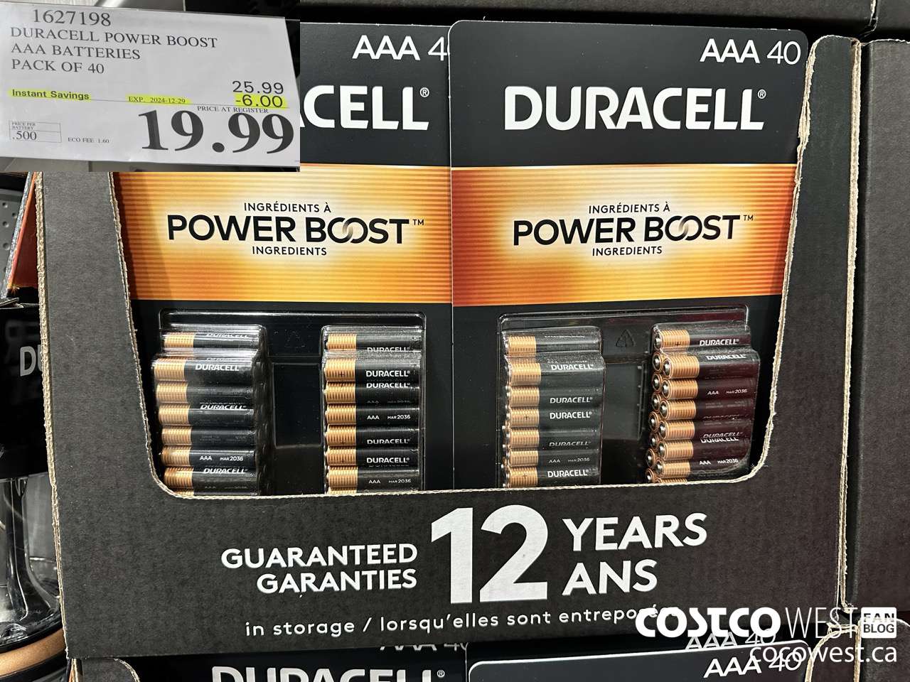 1627198 DURACELL POWER BOOST AAA BATTERIES PACK OF 40 ($6.00 INSTANT SAVINGS EXPIRES ON 2024-12-29) $19.99