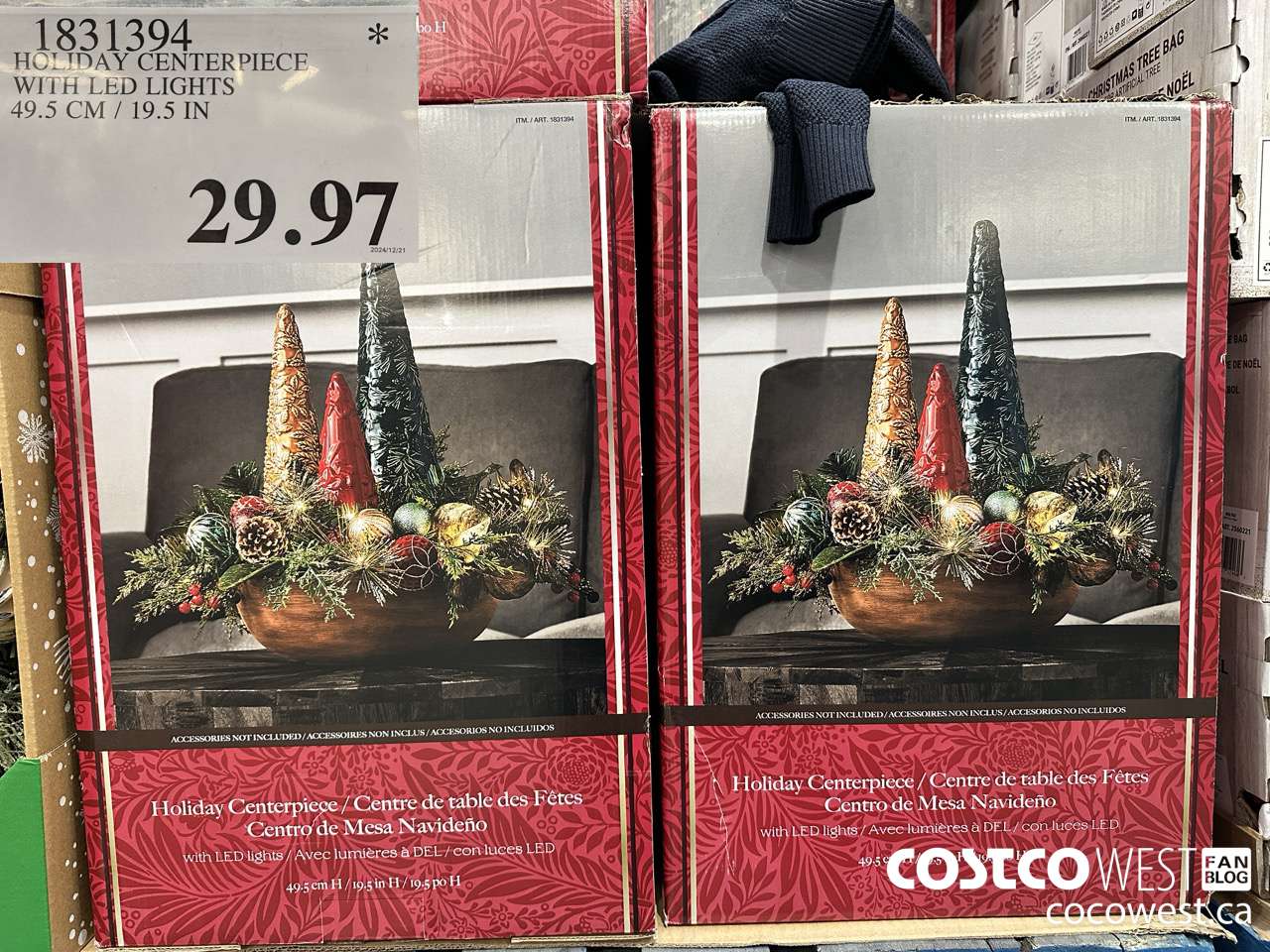 1831394 HOLIDAY CENTERPIECE WITH LED LIGHTS 49.5CM/19.5IN $29.97